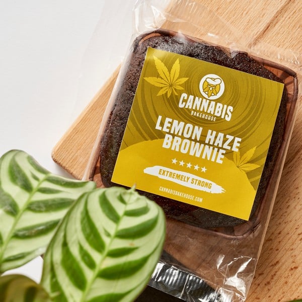 Lemon haze brownie in verpakking met plant